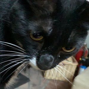 Meet your Posher, Robyn